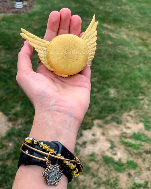 تم تولد هری پاتر - Harry Potter